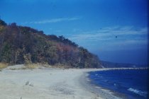View north along the beach